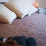 Bed & Breakfast La Terrazza Sul Reno - In Pieno Centro-due Passi Da Chiara - Comodo Unipol Arena 3*
