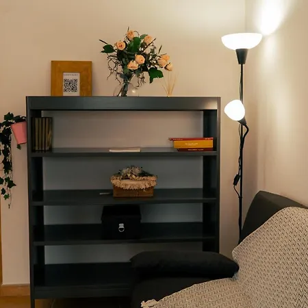 La Terrazza Sul Reno - In Pieno Centro-due Passi Da Chiara - Comodo Unipol Arena Отель типа 