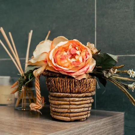 La Terrazza Sul Reno - In Pieno Centro-due Passi Da Chiara - Comodo Unipol Arena Bed & Breakfast Casalecchio Di Reno