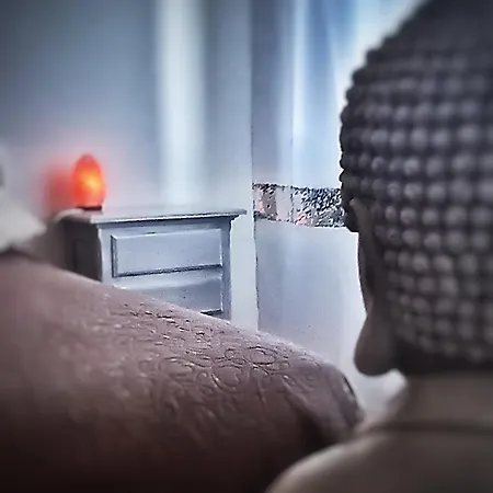 La Terrazza Sul Reno - In Pieno Centro-due Passi Da Chiara - Comodo Unipol Arena