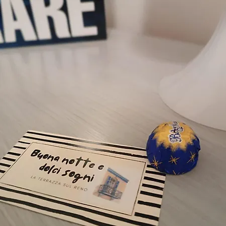 La Terrazza Sul Reno - In Pieno Centro-due Passi Da Chiara - Comodo Unipol Arena