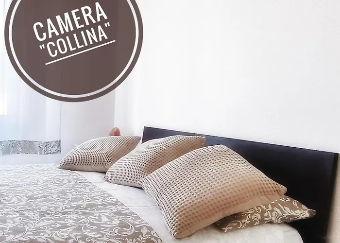 La Terrazza Sul Reno - In Pieno Centro-due Passi Da Chiara - Comodo Unipol Arena Couette-café 3*