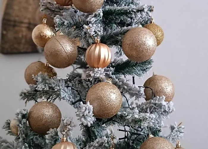 Couette-café La Terrazza Sul Reno - In Pieno Centro-due Passi Da Chiara - Comodo Unipol Arena