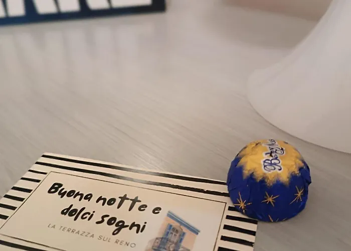 La Terrazza Sul Reno - In Pieno Centro-due Passi Da Chiara - Comodo Unipol Arena