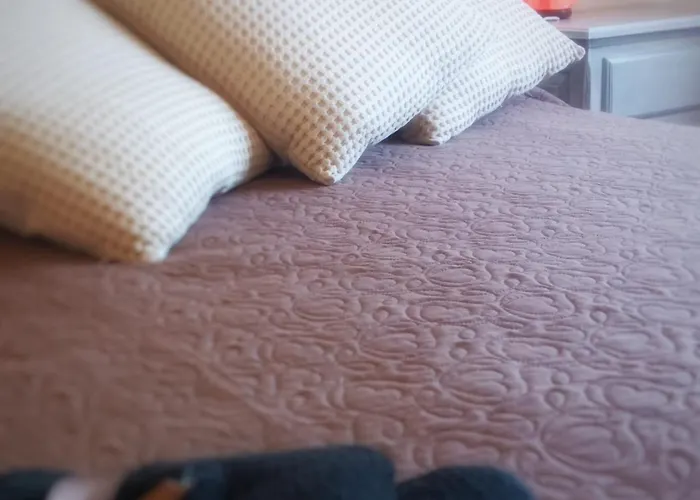 Oda ve Kahvaltı La Terrazza Sul Reno - In Pieno Centro-due Passi Da Chiara - Comodo Unipol Arena 3*